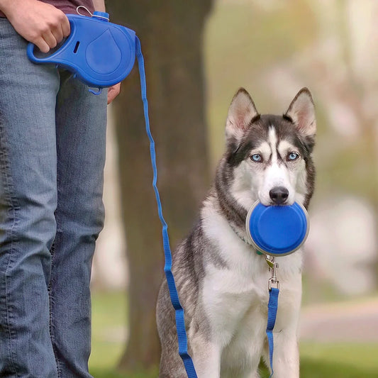 DogGo הפתרון העגול 3 ב- 1 המושלם לטיולים
